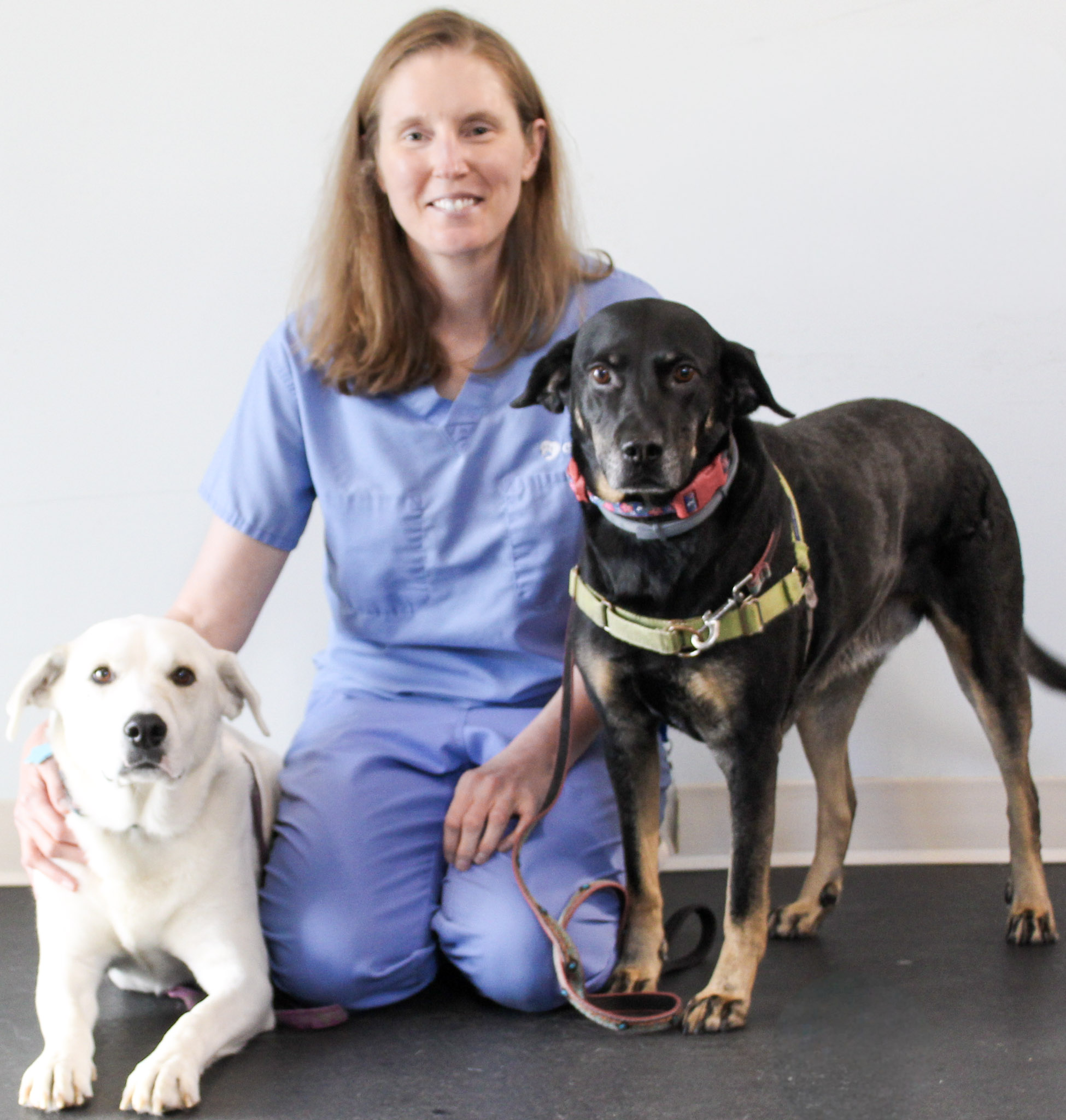 Lisa Gorman, DVM, DACVIM-SA