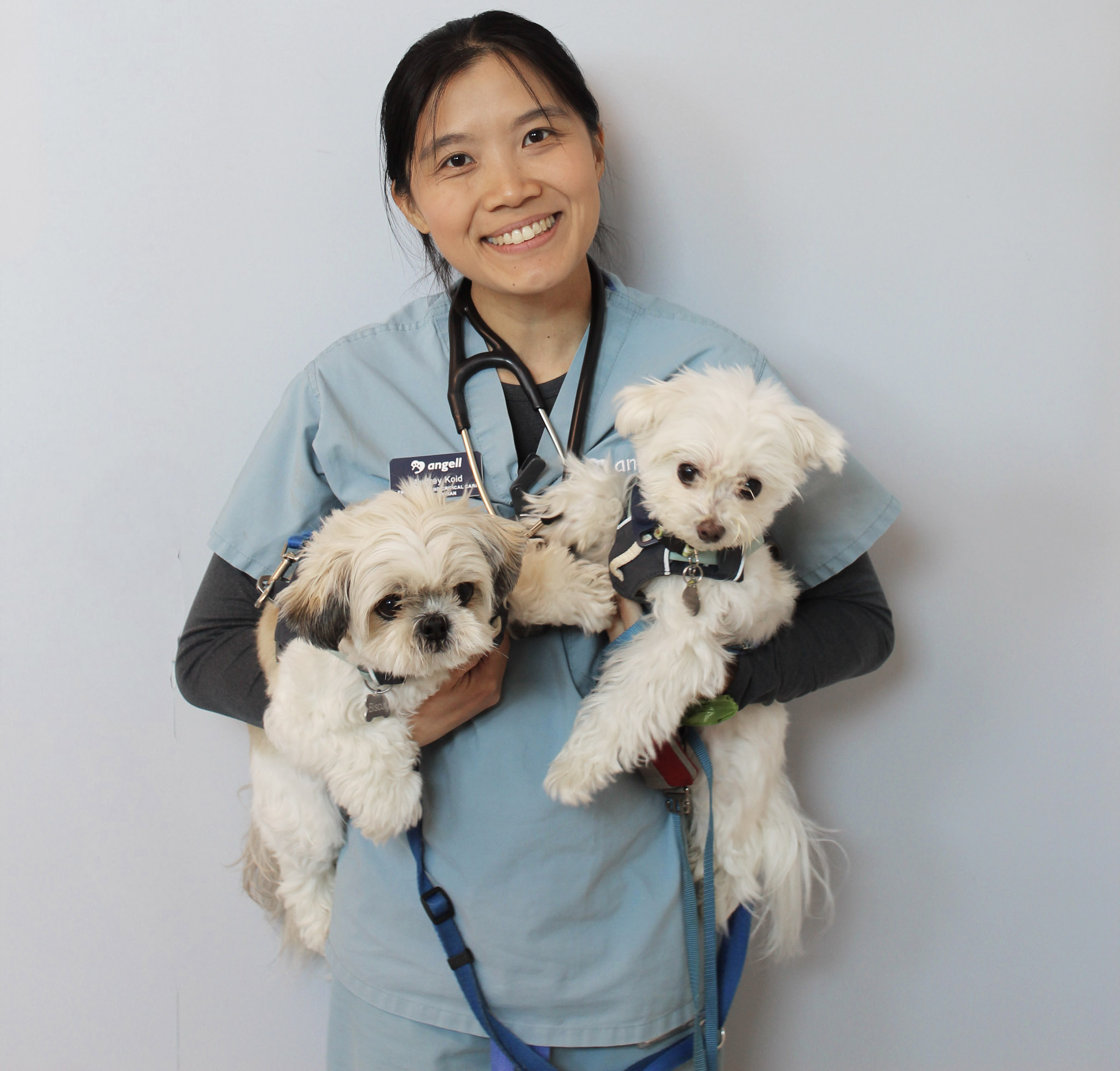 Audrey Koid, DVM, DACVECC-SA