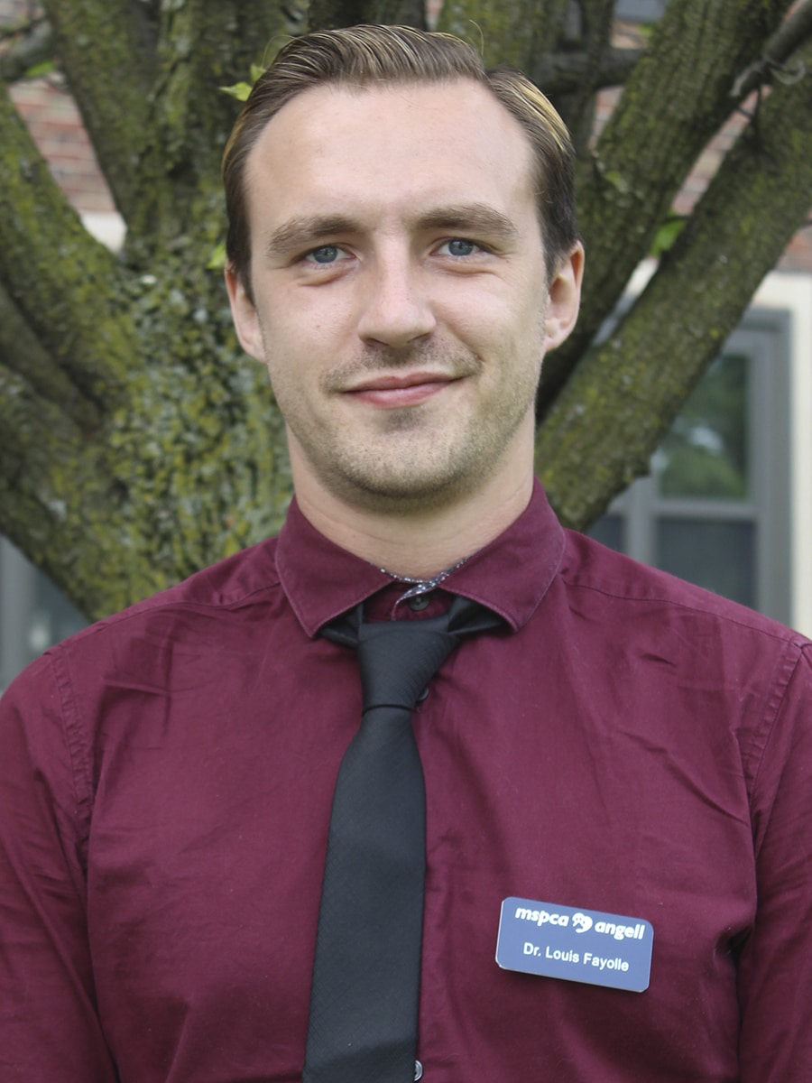 Louis Fayolle, DVM