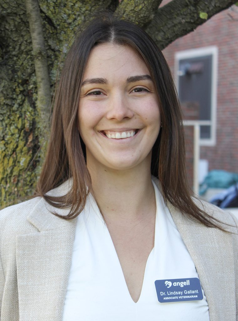 Lindsay Gallant, DVM