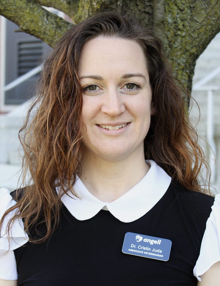 Cristin Juda, VMD