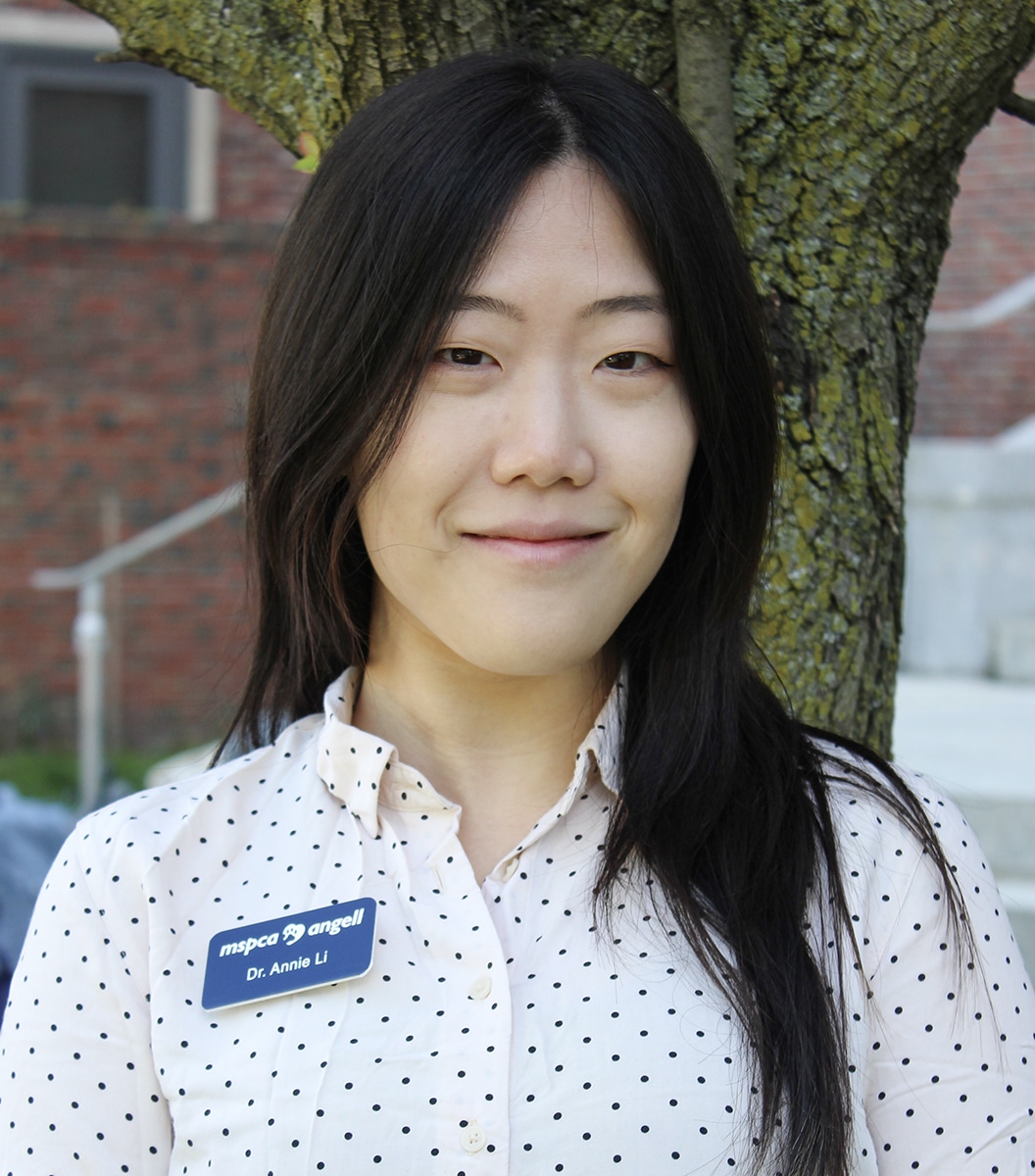Annie Li, DVM