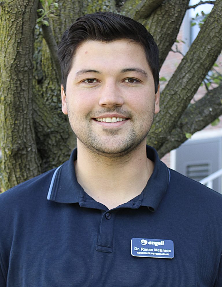 Ronan McEnroe, DVM