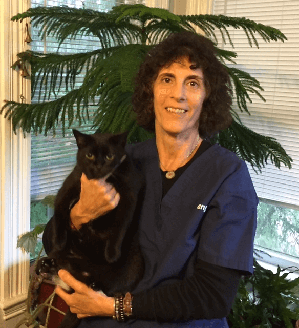 Melanie Coiro, CVT, VTS (ECC), Inpatient Services Lead