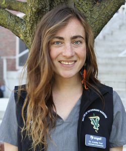 Colette Toal, DVM