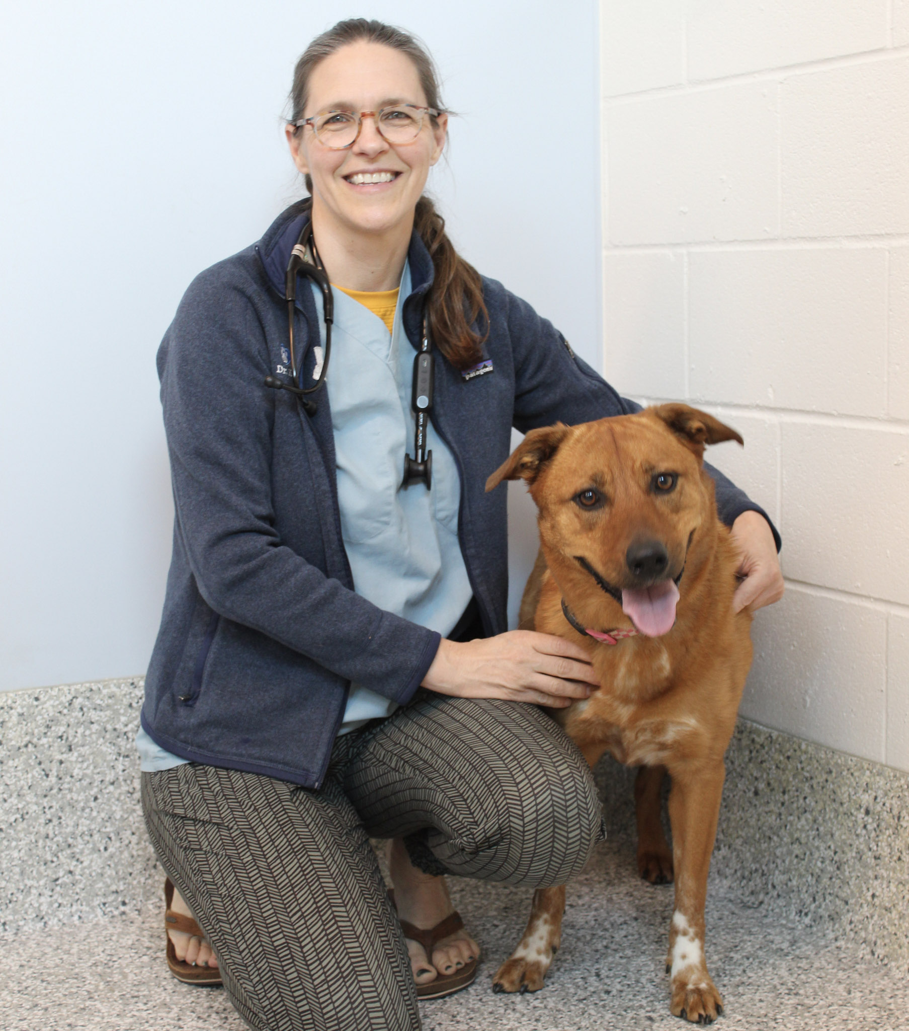 Kathleen C. O’Hara, BVetMed