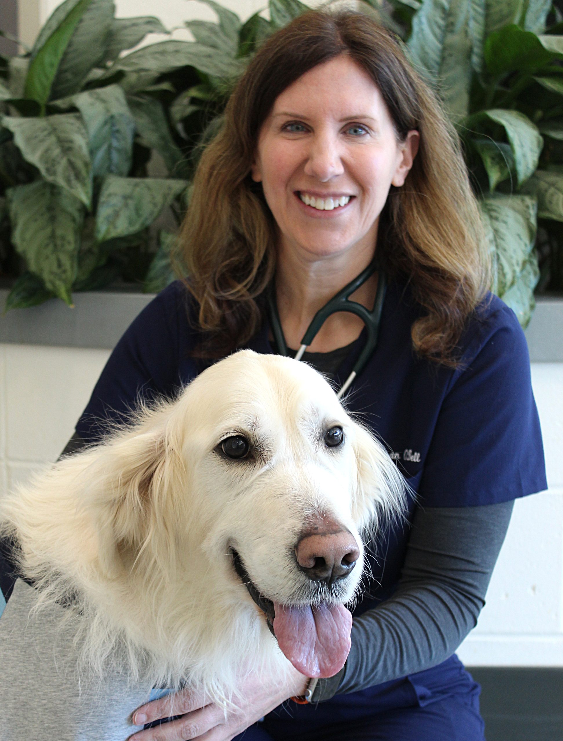 Susan O’Bell, DVM, MPH, DACVIM (Internal Medicine), Service Director
