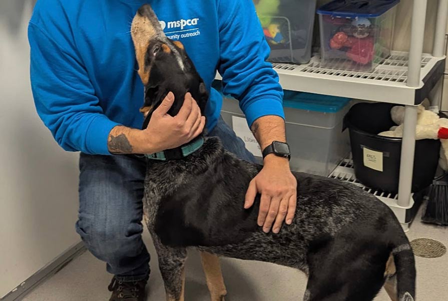 A staff member hugging a dog