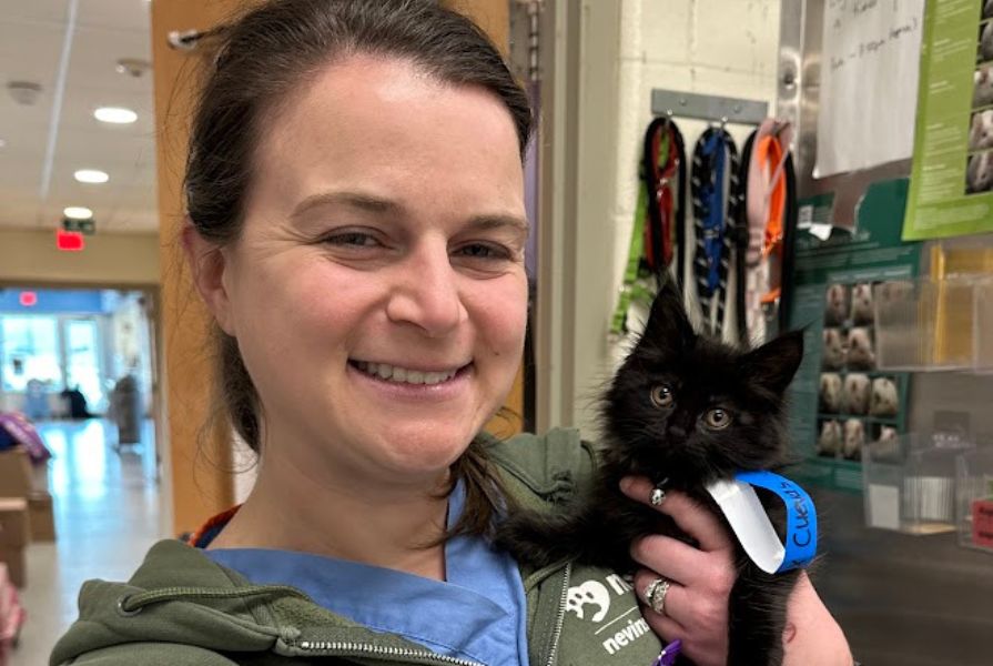 A community clinic volunteer holding a fluffy black kitten.