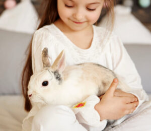 cecal-dysbiosis-in-house-rabbits-what-the-hay