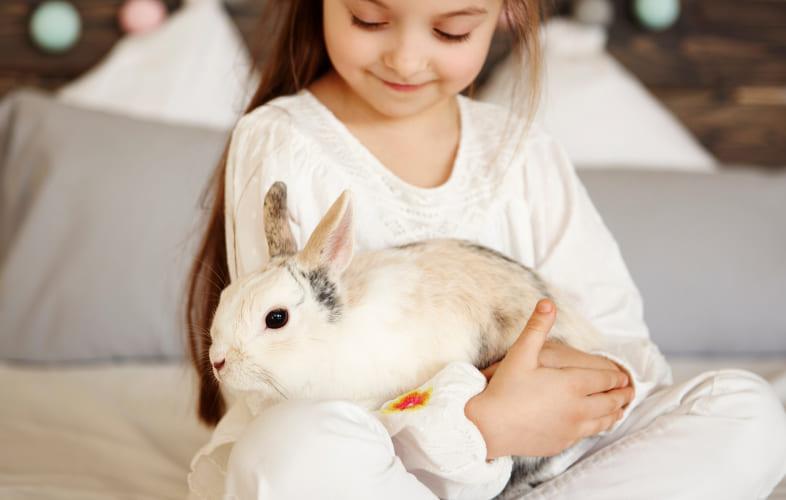 7064Cecal Dysbiosis in House Rabbits: What the Hay?