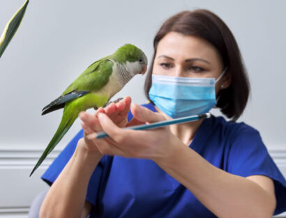 diagnosing-and-treating-heavy-metal-toxicosis-in-birds