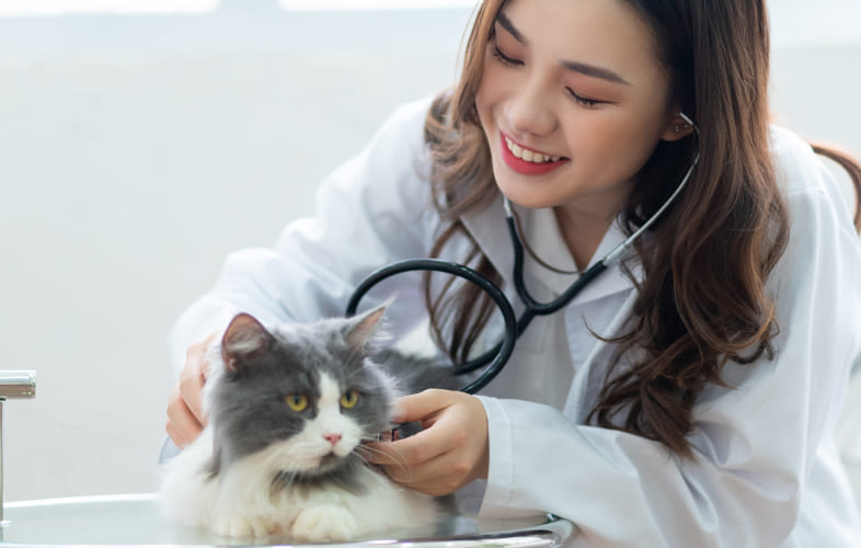 7603Feline Hyperaldosteronism and Hypokalemia