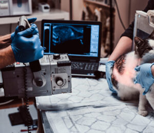helpful-tips-for-abdominal-radiography