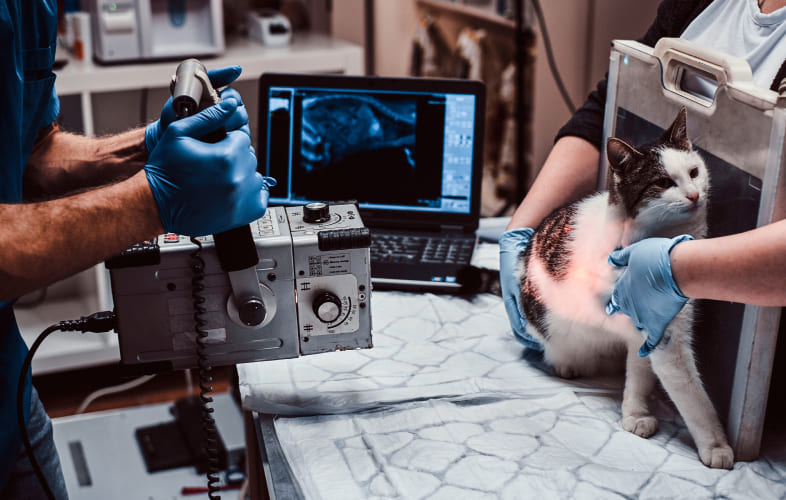 6866Helpful Tips for Abdominal Radiography