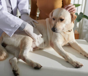 lumps-and-bumps-when-to-be-concerned