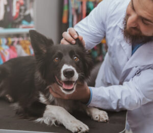 otitis-media-interna-and-neurologic-deficits