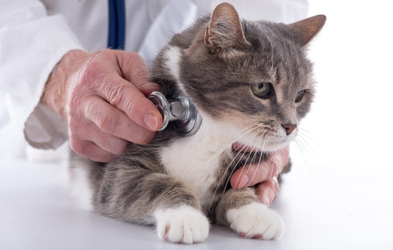 6639Refeeding Syndrome