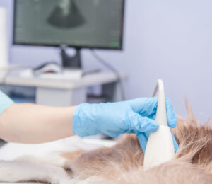 the-role-of-imaging-in-diagnosing-pancreatitis