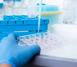 11genetic-engineering