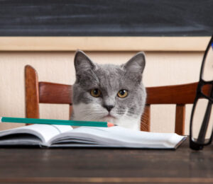 12animals-used-in-education