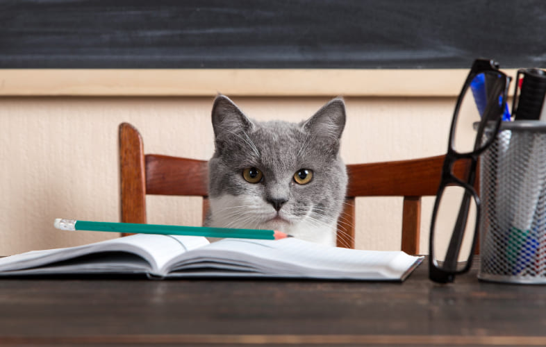 9415Animals Used in Education