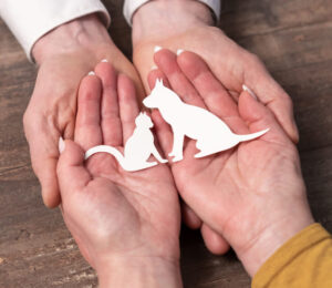 14pocket-guide-animal-protection-laws-and-resources