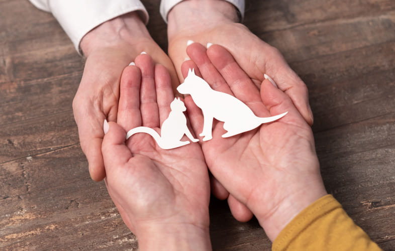 9418Pocket Guide: Animal Protection Laws and Resources