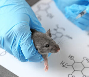 4animals-used-in-research