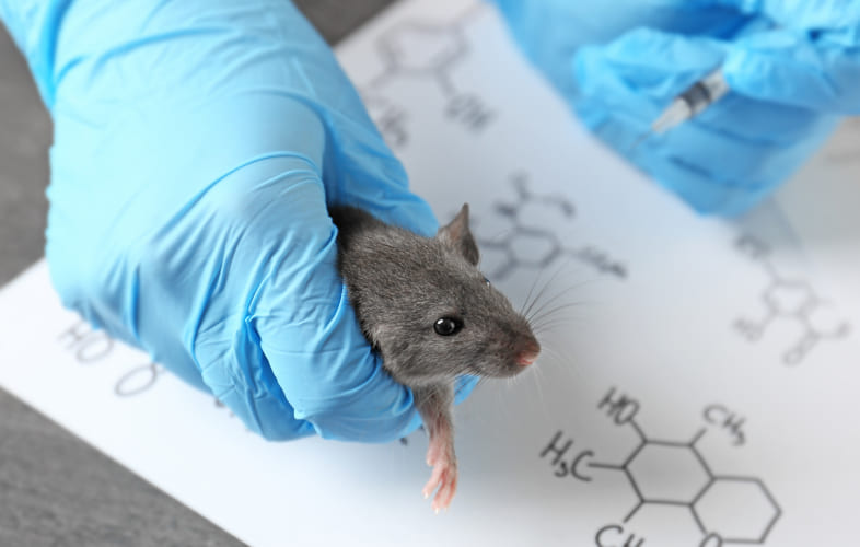 9376Animals Used in Research