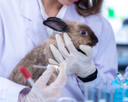 The Leaping Bunny Standard - MSPCA-Angell