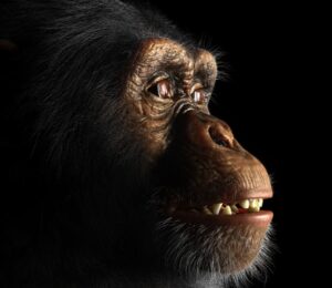 7chimps-and-research
