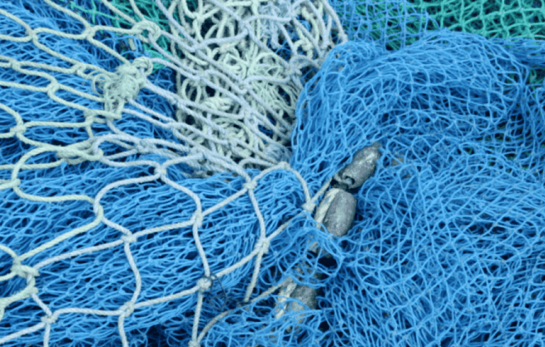 9553Farmed Animal Welfare: Fish and Crustaceans