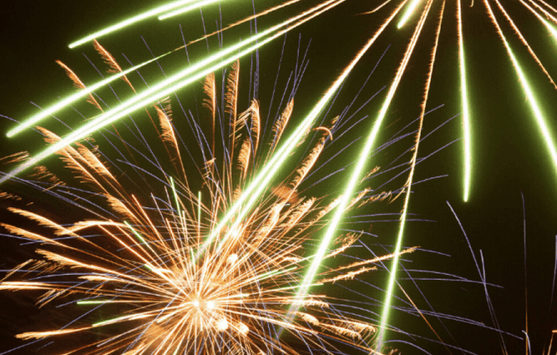 9613Fireworks and Wildlife