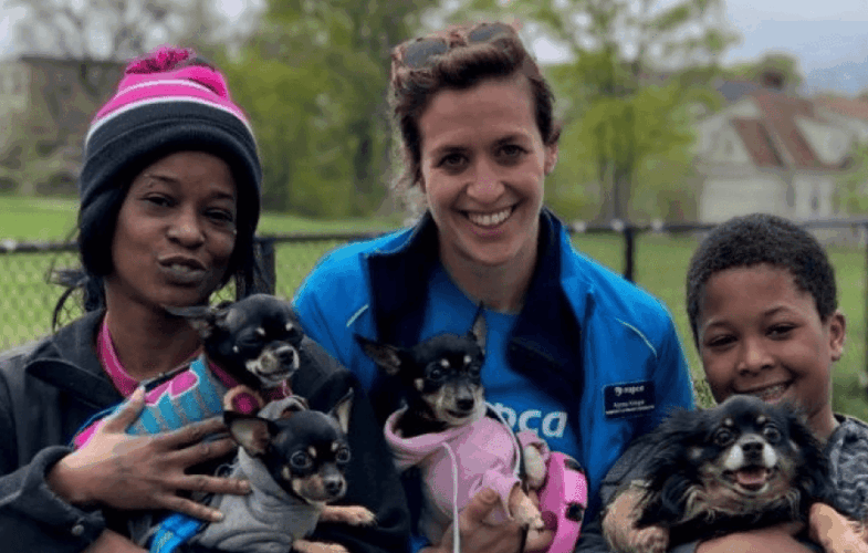 9496Pet food, pet care, and veterinary services