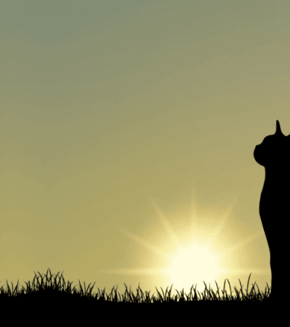 Wildlife and Companion Animals