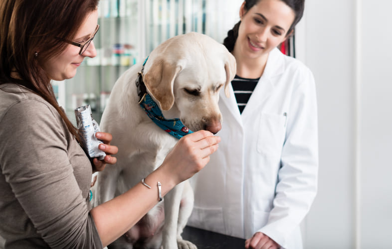 7768A New Approach to Diagnosing Transitional Cell Carcinoma in Dogs