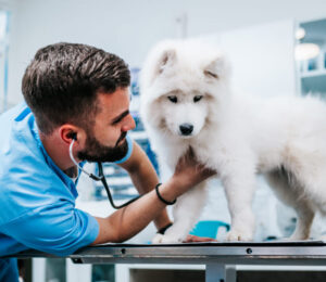 cryotherapy-history-and-methodology