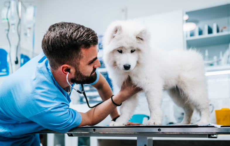 8041Cryotherapy: History and Methodology