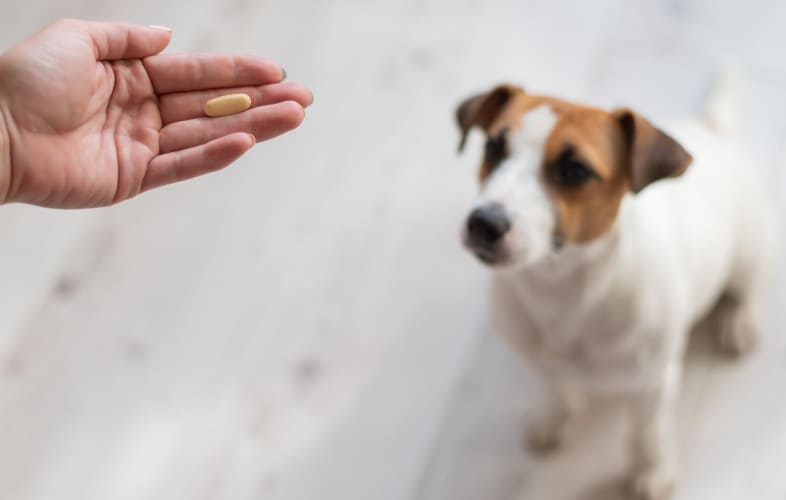 8358Drugs Used to Treat Protein-Losing Nephropathy