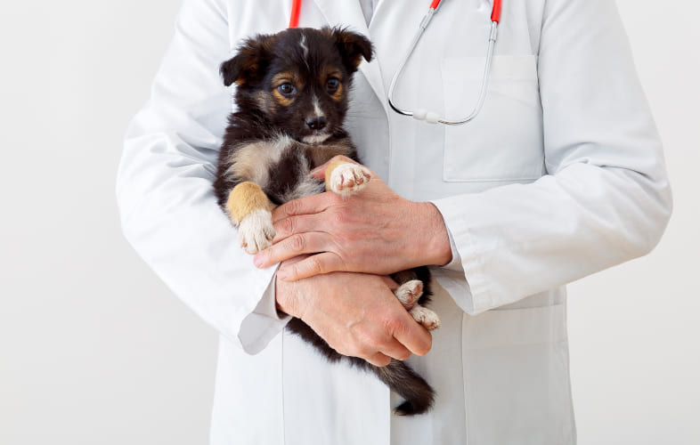 8030Pneumocolon: Teaching a New Dog Old Tricks