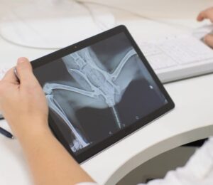 radiographic-approach-to-bone-imaging