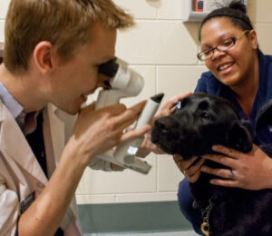 what-is-a-veterinary-ophthalmologist