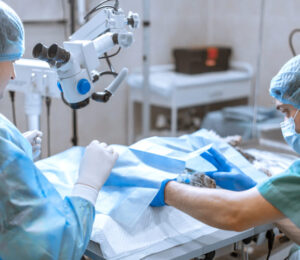 what-is-tplo-surgery