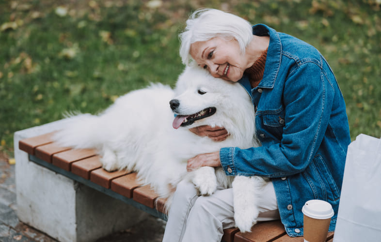 104252010 – Allowing Pet Trusts