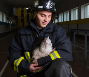 2014-pets-and-disasters