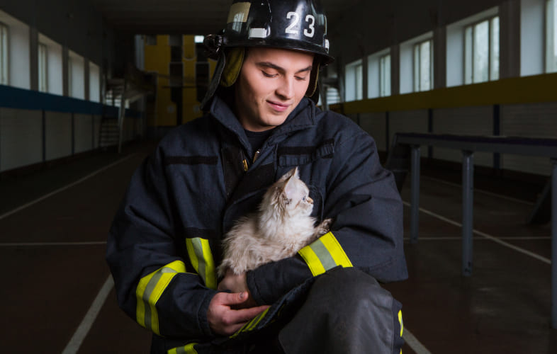 104472014 – Pets and Disasters