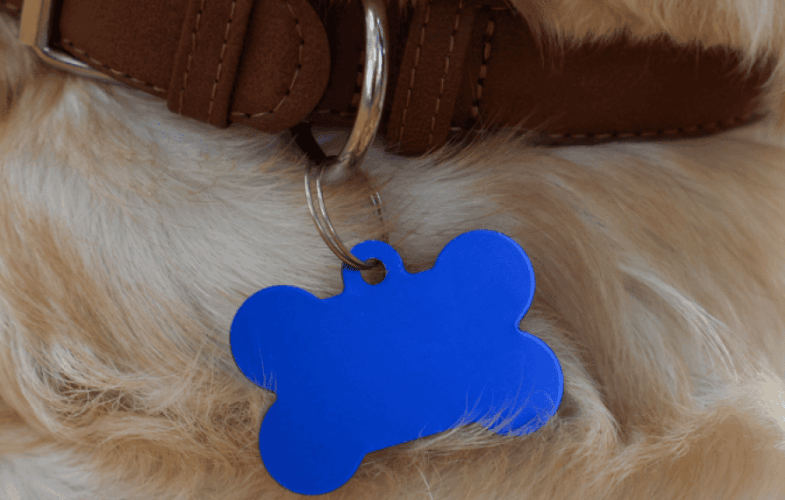 12716Animal Control Law Updates