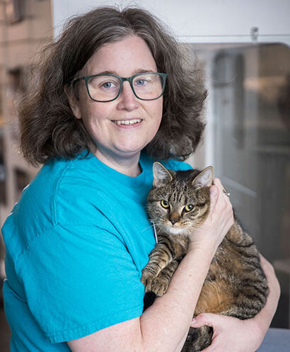 An animal care volunteer in a blue shirt holds a cat with kennels in the background