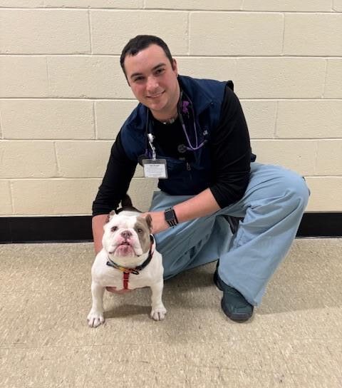Daniel Leveroni, CVT, VTS (Anesthesia & Analgesia), Lead Anesthesia Technician